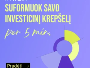 Investuotojo portretas